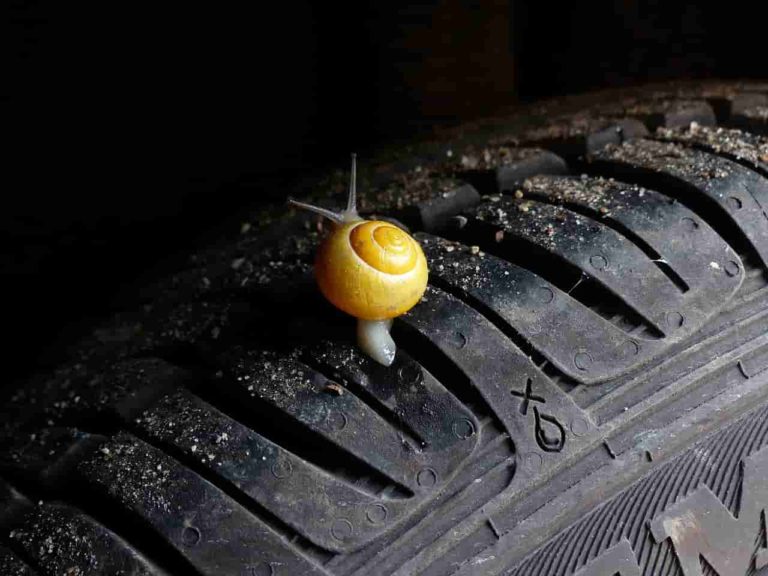 TIRE TREAD