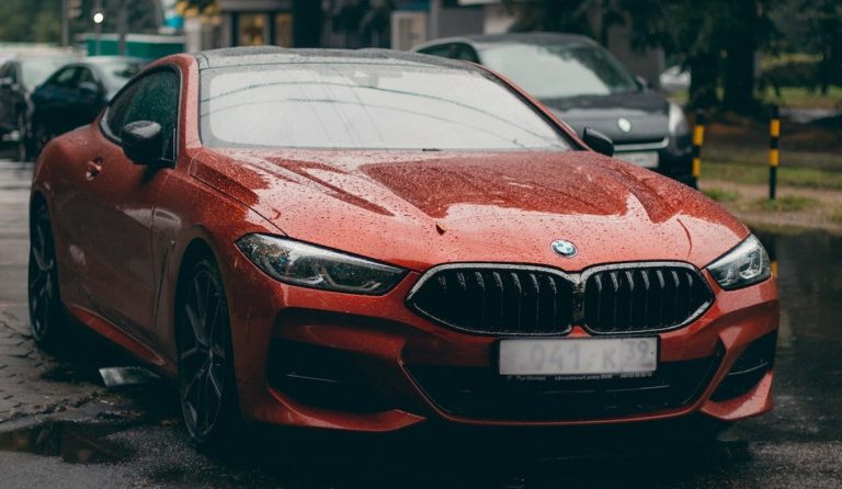 BMW 8 SERIES TIRE PRESSURE LIGHT