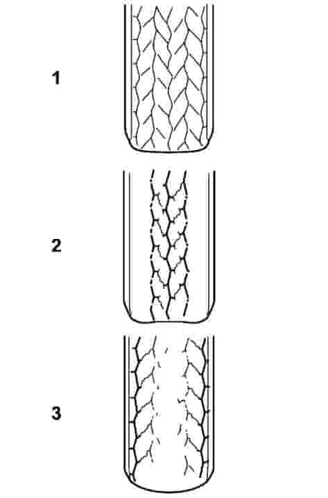 SUBARU ASCENT TIRE TREAD WEAR